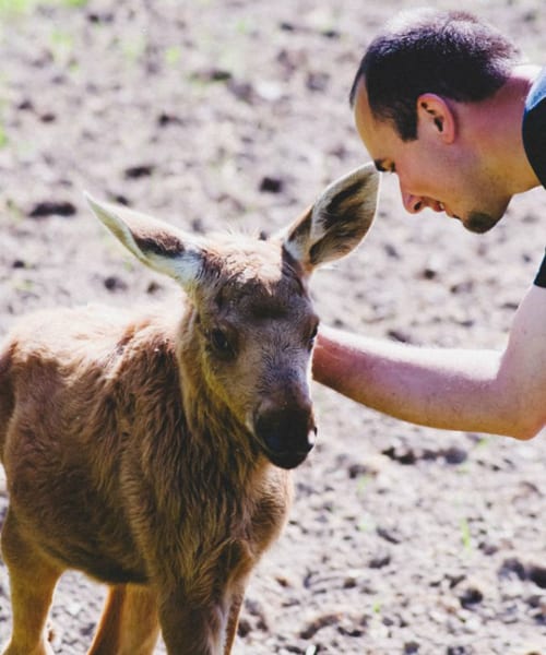 Man Rescues Baby Moose